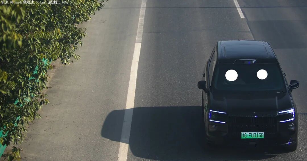 1浙GFU0168 王靓靓.jpg