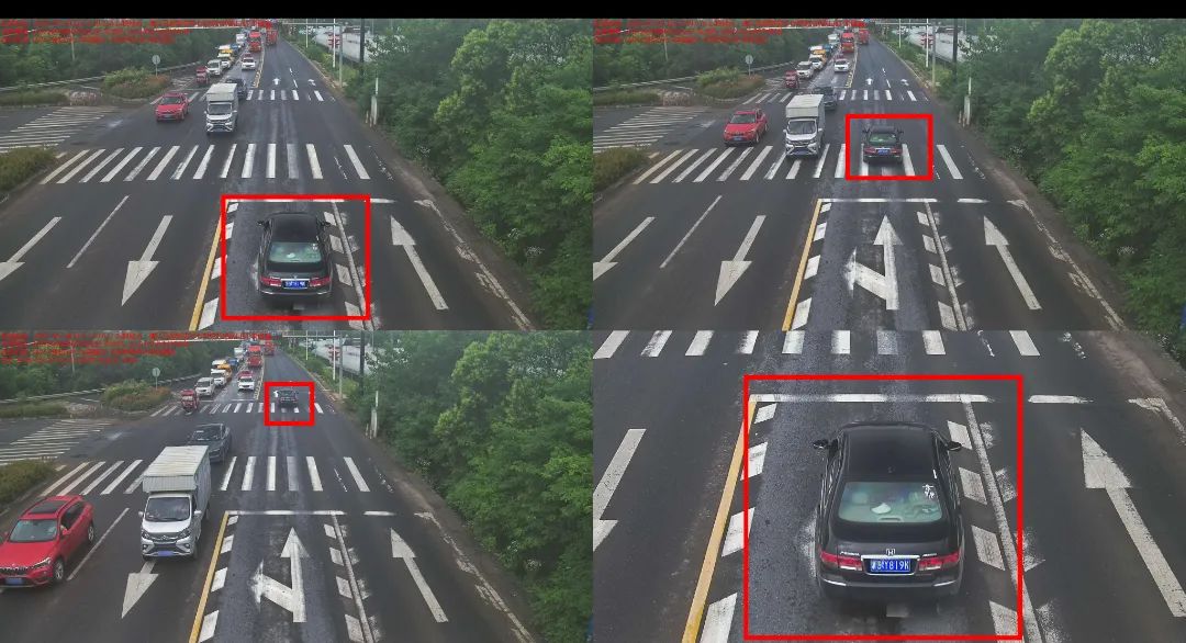 浙GY819K 贾红成.jpg